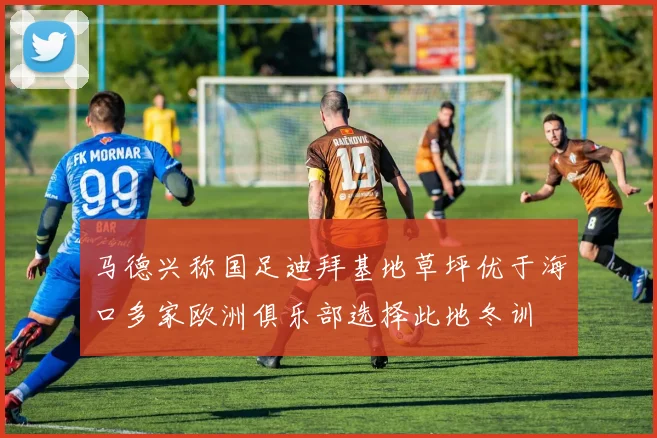马德兴称国足迪拜基地草坪优于海口多家欧洲俱乐部选择此地冬训