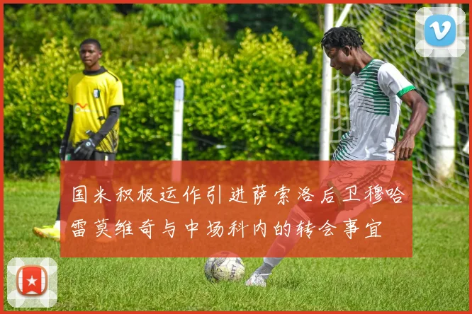 国米积极运作引进萨索洛后卫穆哈雷莫维奇与中场科内的转会事宜
